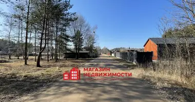 Plot of land in Kapciouski sielski Saviet, Belarus