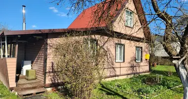 Dom 4 pokoi w Volosovo, Rosja