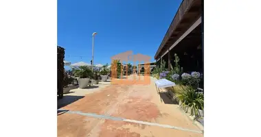1 bedroom apartment in Bashkia Durres, Albania