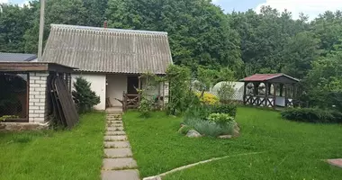 Cottage in Nikalajeuka 2, Belarus