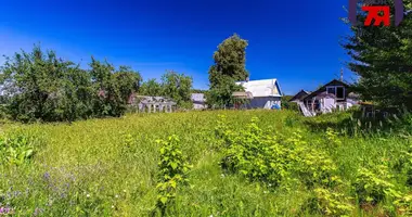 House in Rudnia, Belarus
