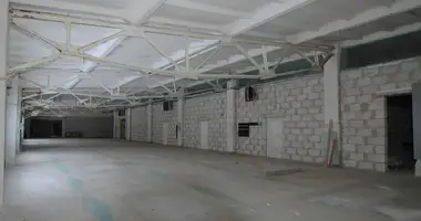 Gewerbefläche 1 311 m² in Visaginas, Litauen