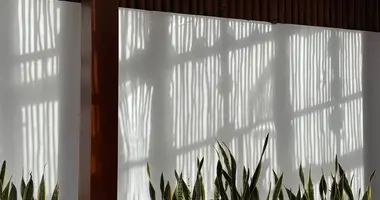 1 bedroom apartment in Canggu, Indonesia