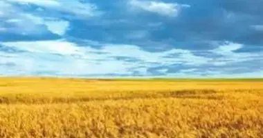Участок земли в Одесса, Украина