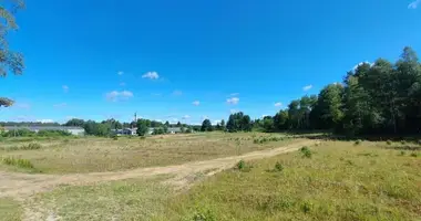 Plot of land in Lipliunai, Lithuania