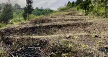 Działka w Batumi, Gruzja
