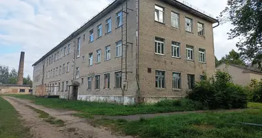 Инвестиционная 3 600 м² в Опса, Беларусь