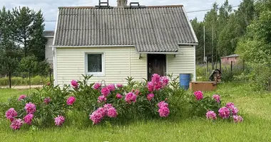Haus in Astrosycki sielski Saviet, Belarus