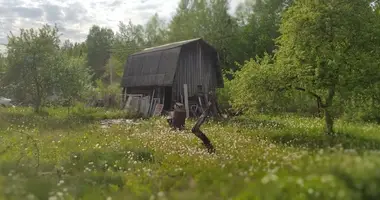Haus in Zodzinski sielski Saviet, Belarus