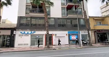 Office 247 m² in Sant Vicent del Raspeig San Vicente del Raspeig, Spain