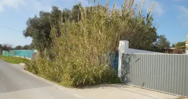 Haus 2 Schlafzimmer in Vejer de la Frontera, Spanien