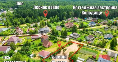 Plot of land in Kalodziscanski sielski Saviet, Belarus