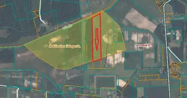 Участок земли в Казлу-Руда, Литва