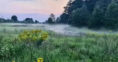 Dom w Usiazski sielski Saviet, Białoruś