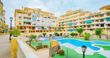 2 bedroom apartment in La Mata, Spain