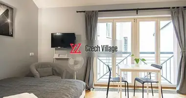 Wohnung 3 zimmer in Hauptstadt Prag, Tschechien