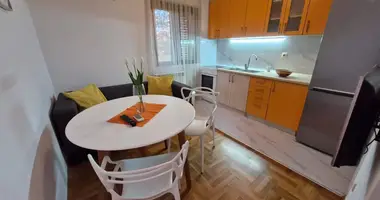 Wohnung 1 Schlafzimmer in Montenegro