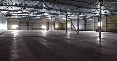 Warehouse 2 437 m² in Vialikaje Sciklieva, Belarus