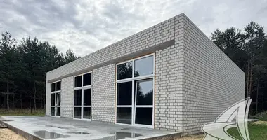 Maison dans Damacauski sielski Saviet, Bélarus