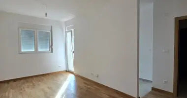 Apartment in Podgorica, Montenegro