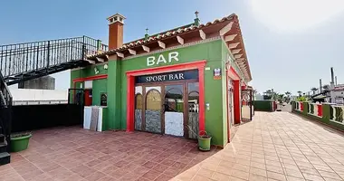 Commercial property 242 m² in Dehesa de Campoamor, Spain