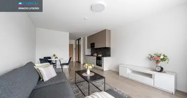 Appartement 1 chambre dans Vilnius, Lituanie