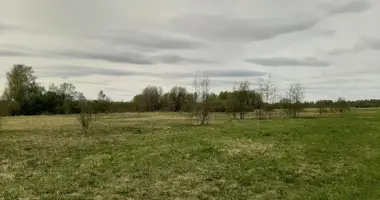 Plot of land in Gagarinsky District, Russia