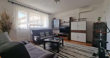 Wohnung 2 zimmer in Opcina Dezanovac, Kroatien