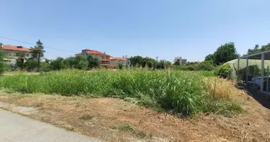 Plot of land in Katerini Municipality, Greece