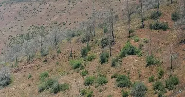 Apartment in Moni, Cyprus