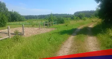 Parcela en Krasnienski sielski Saviet, Belarús