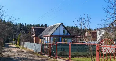 Дом в Боровлянский сельский Совет, Беларусь