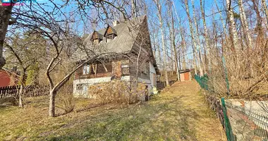 Haus in Skirgiskes, Litauen