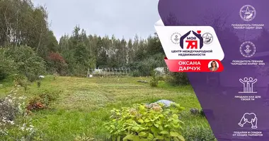 House in Aliachnovicki sielski Saviet, Belarus