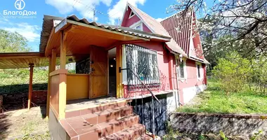 House in Piatryskauski sielski Saviet, Belarus