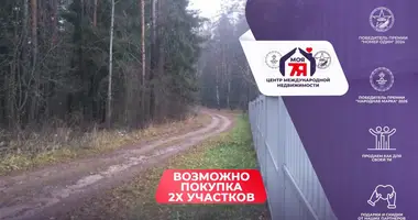 Plot of land in Jzufouski sielski Saviet, Belarus