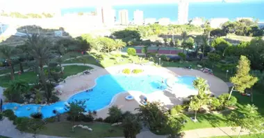 1 bedroom apartment in Benidorm, Spain
