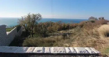 Parcela en Montenegro