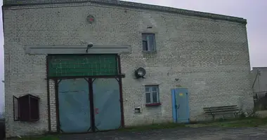 Производство в Зельвенский район, Беларусь
