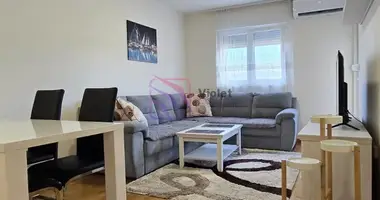 1 bedroom apartment in Podgorica, Montenegro