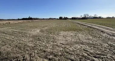 Plot of land in Siekierki Male, Poland