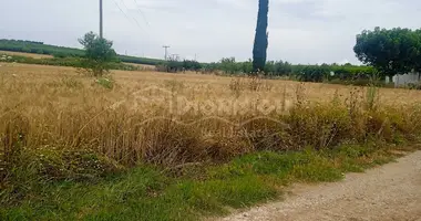 Działka w Nea Flogita, Grecja
