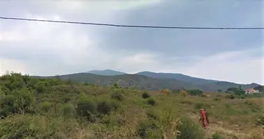 Terrain dans South Pilio Municipality, Grèce