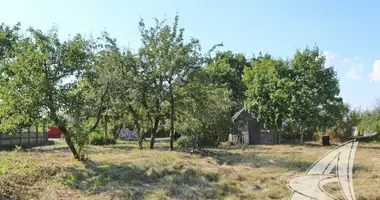 Участок земли в Мухавецкий сельский Совет, Беларусь