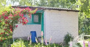 Haus in Skoki, Belarus