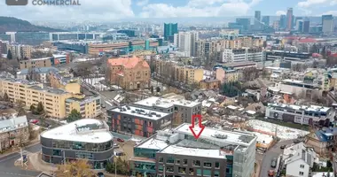 Propriété commerciale 175 m² dans Vilnius, Lituanie