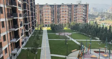 1 bedroom apartment in Tbilisi, Georgia