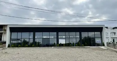 Propriété commerciale 500 m² dans Tbilissi, Géorgie