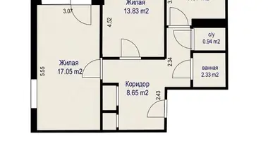 2 room apartment in Minsk, Belarus