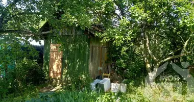 Maison dans Aliachnovicki sielski Saviet, Bélarus